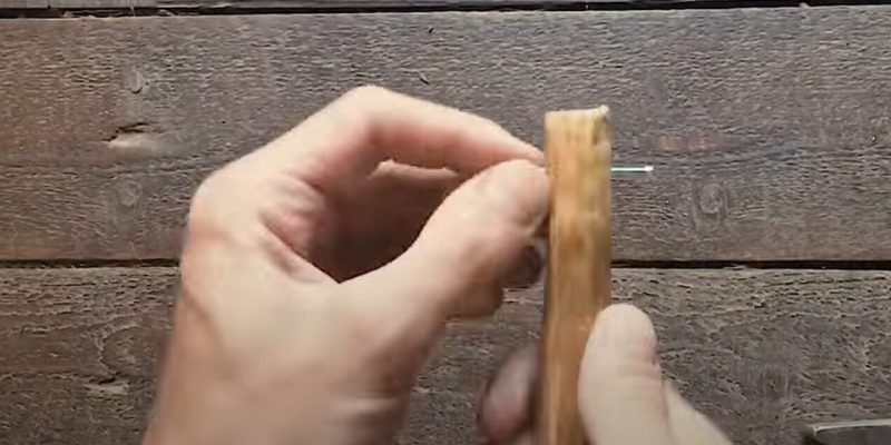 Как быстро собирать облепиху с дерева и обрезанных веток