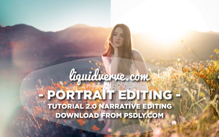 Скачать с Яндекс диска Liquidverve Portrait Editing Tutorial 2.0 (“Narrative Editing”) Free Download