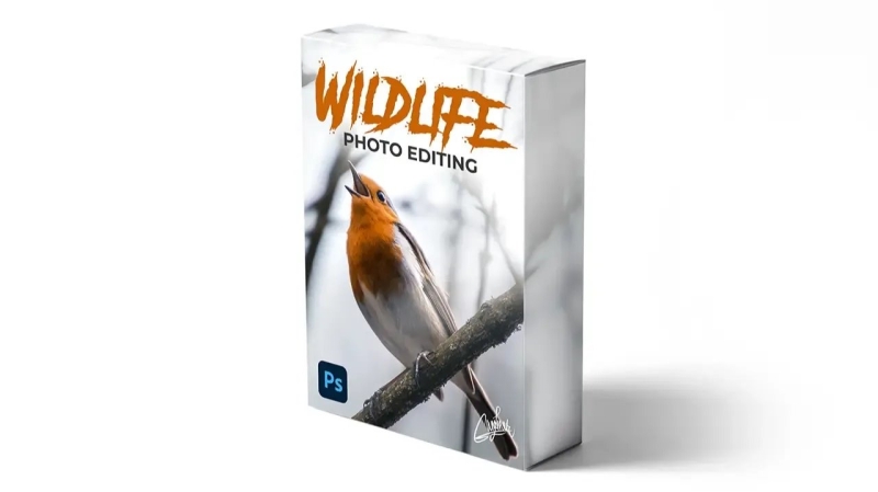 Скачать с Яндекс диска Zenja Gammer — zenzcourses — Wildlife Photo Editing Course