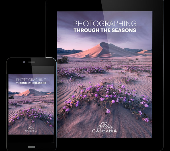 Скачать с Яндекс диска Photo-Cascadia – Photographing Through the Seasons